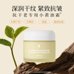 ANAIRUI-DNA鈉膠原緊致抗皺油霜